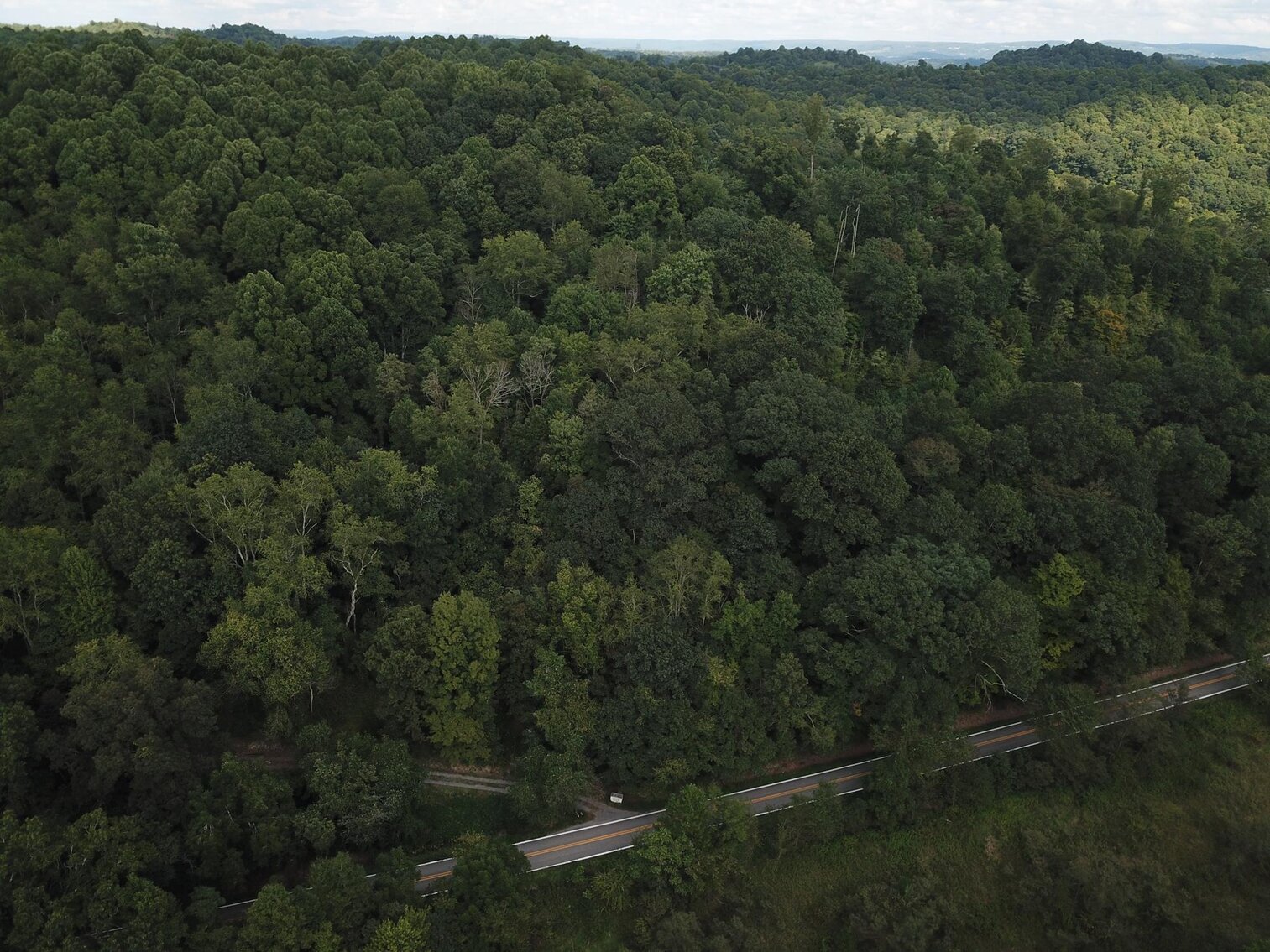 Image for SOLD $15,950 - 2 Acres on River Road in Morgantown