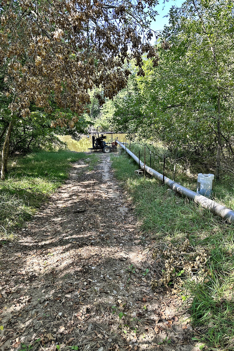 Image for Arlan Parde Auction, 146.75 acres Gage County Farm by Burrows Tracts Real Estate