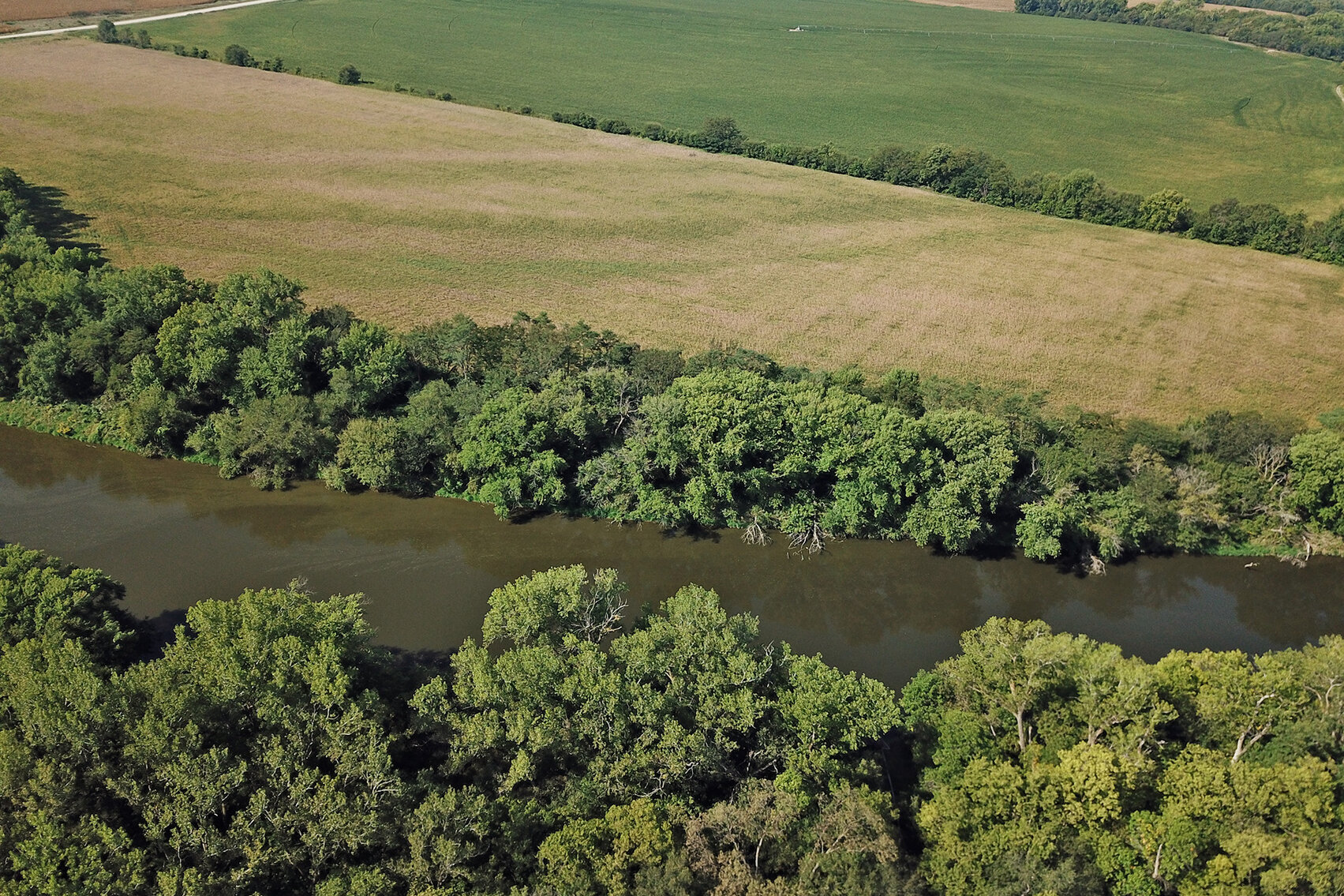 Image for Arlan Parde Auction, 146.75 acres Gage County Farm by Burrows Tracts Real Estate