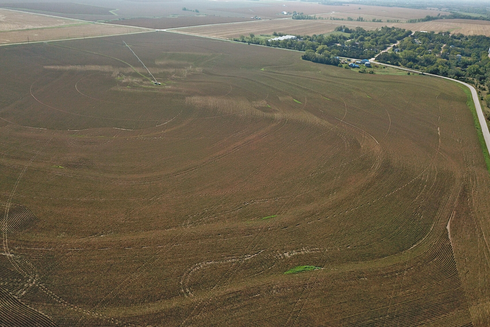 Image for Arlan Parde Auction, 146.75 acres Gage County Farm by Burrows Tracts Real Estate