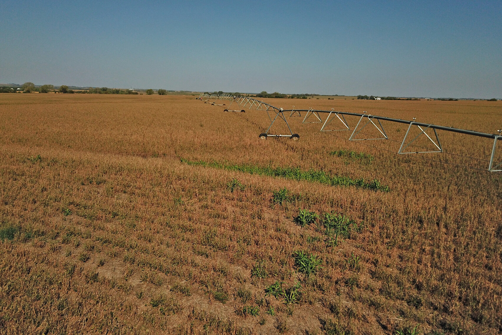 Image for Arlan Parde Auction, 146.75 acres Gage County Farm by Burrows Tracts Real Estate