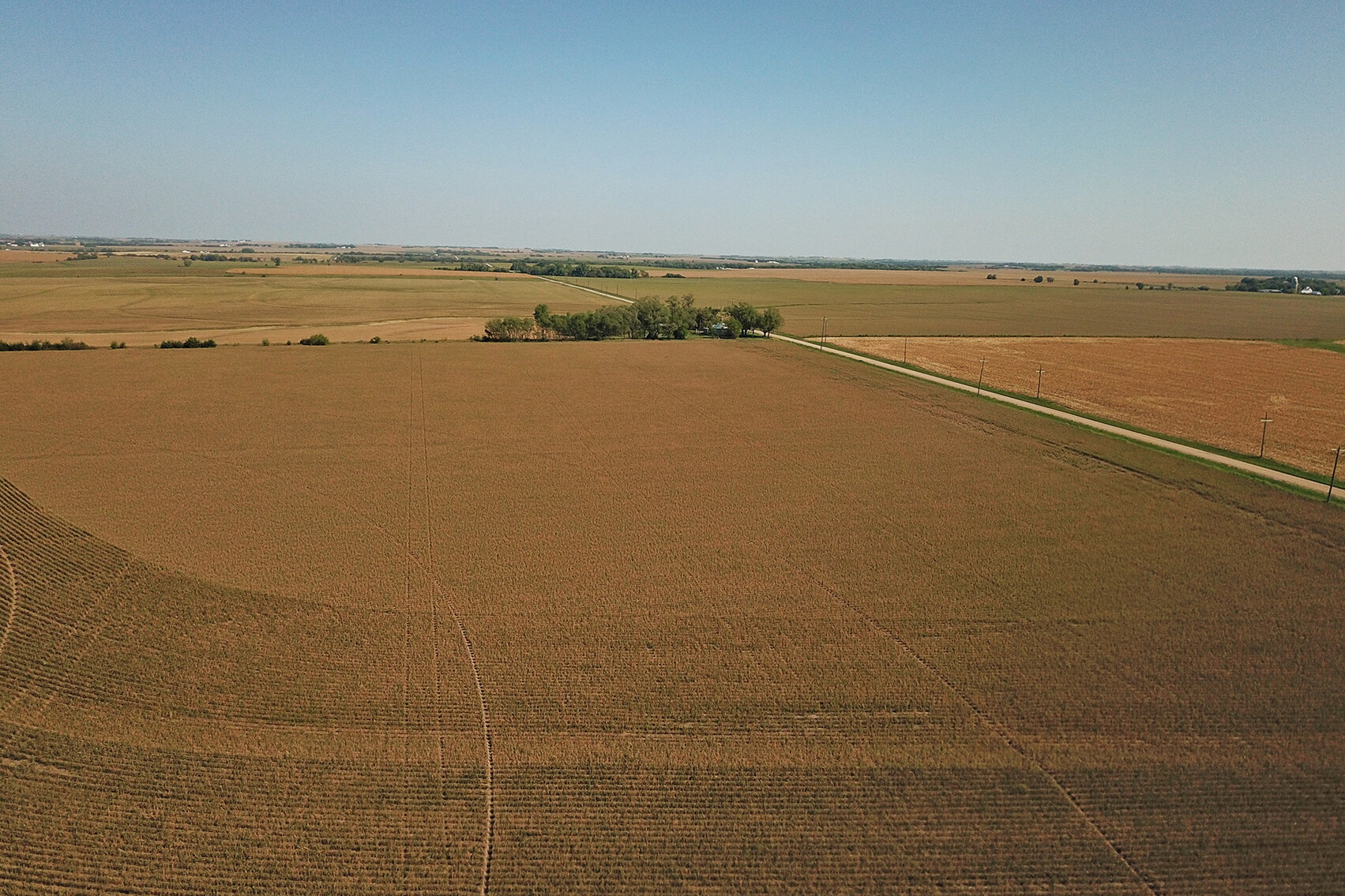Image for Arlan Parde Auction, 146.75 acres Gage County Farm by Burrows Tracts Real Estate