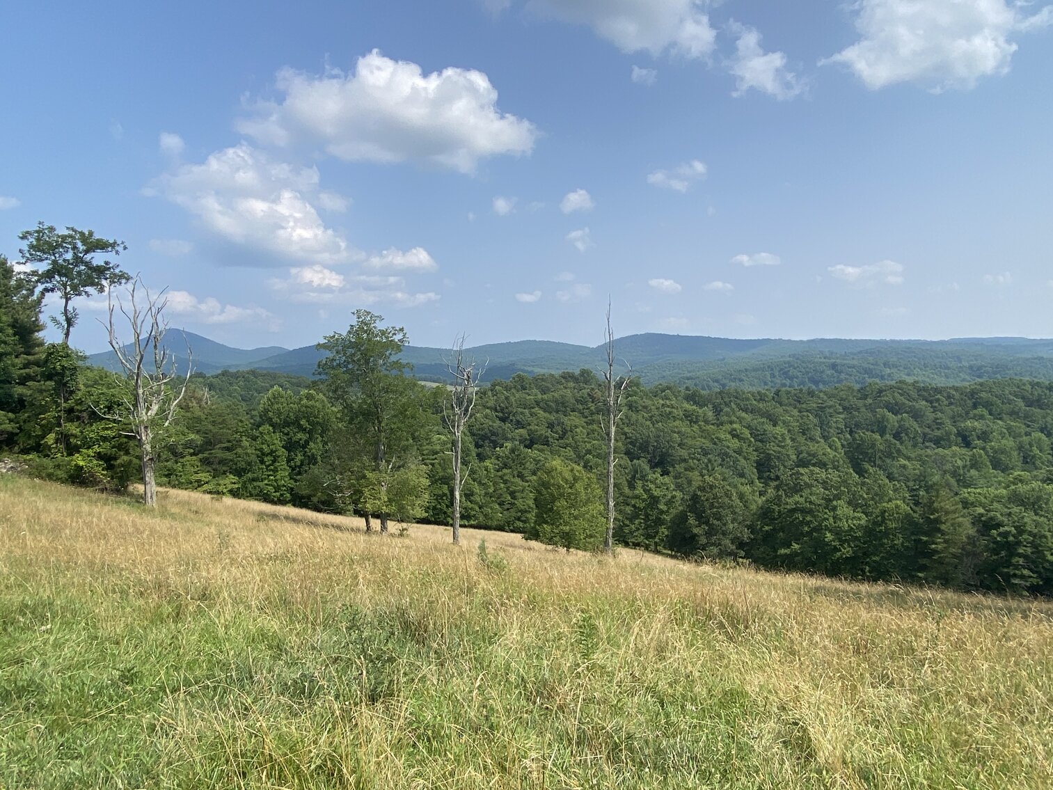 Image for Estate of the Late Russell Goad - 188± Acres in Carroll & Floyd County, VA