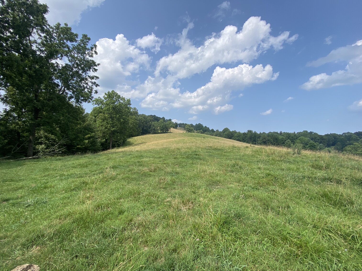 Image for Estate of the Late Russell Goad - 188± Acres in Carroll & Floyd County, VA