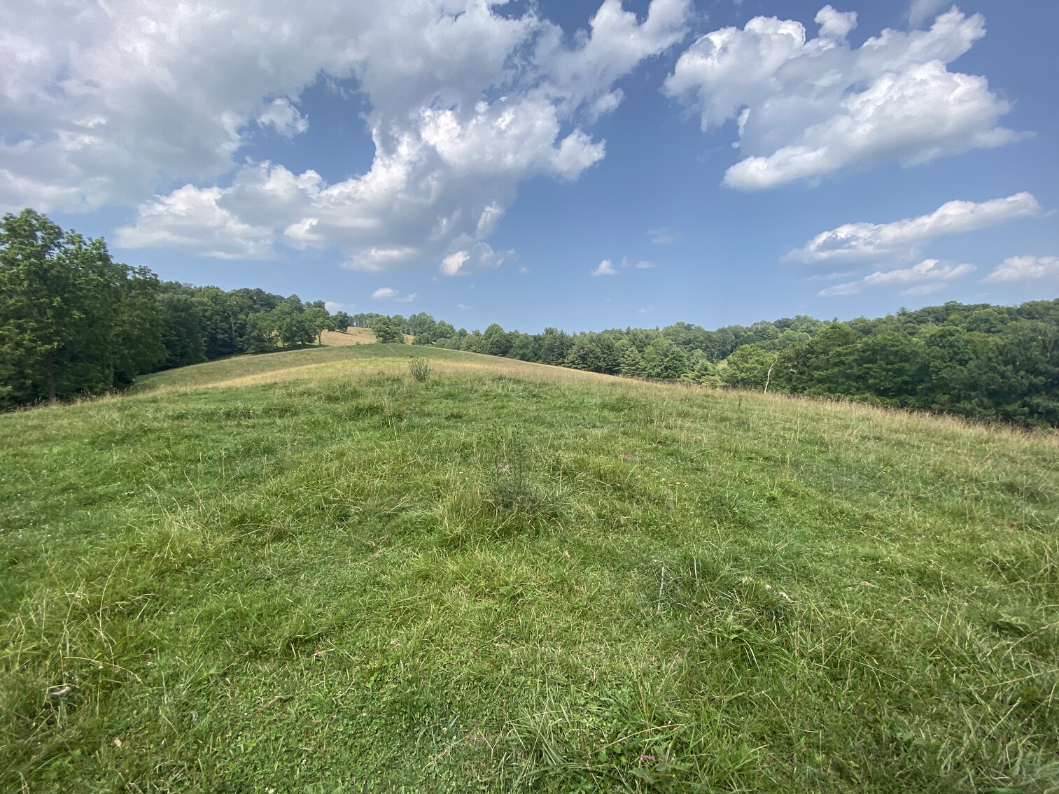 Image for Estate of the Late Russell Goad - 188± Acres in Carroll & Floyd County, VA