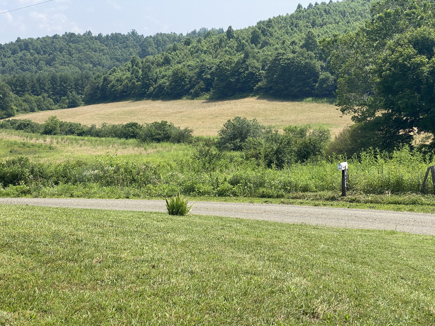 Image for Estate of the Late Russell Goad - 188± Acres in Carroll & Floyd County, VA