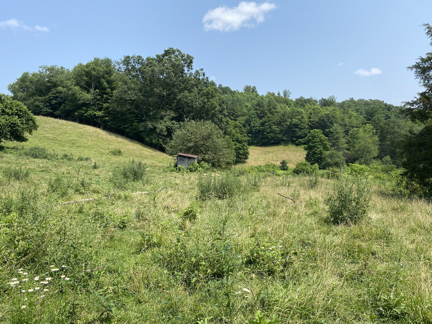 Image for Estate of the Late Russell Goad - 188± Acres in Carroll & Floyd County, VA