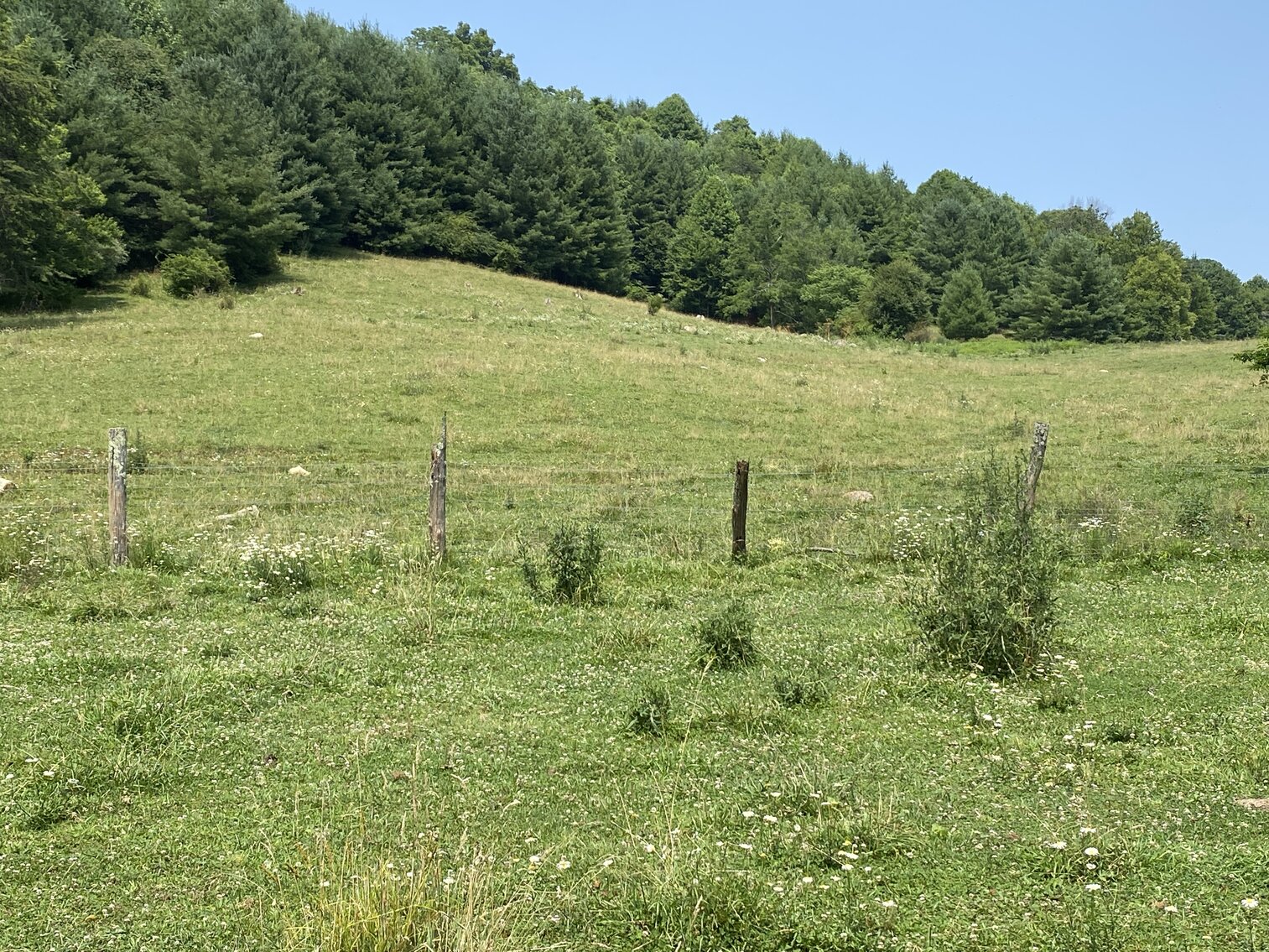 Image for Estate of the Late Russell Goad - 188± Acres in Carroll & Floyd County, VA