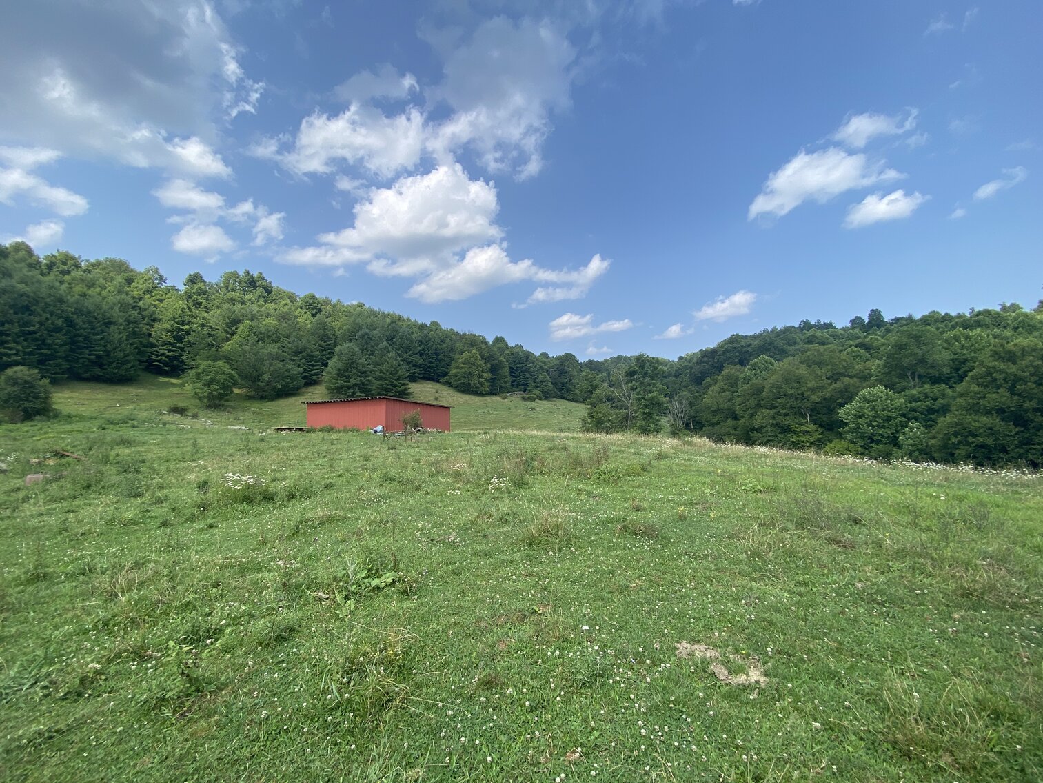 Image for Estate of the Late Russell Goad - 188± Acres in Carroll & Floyd County, VA