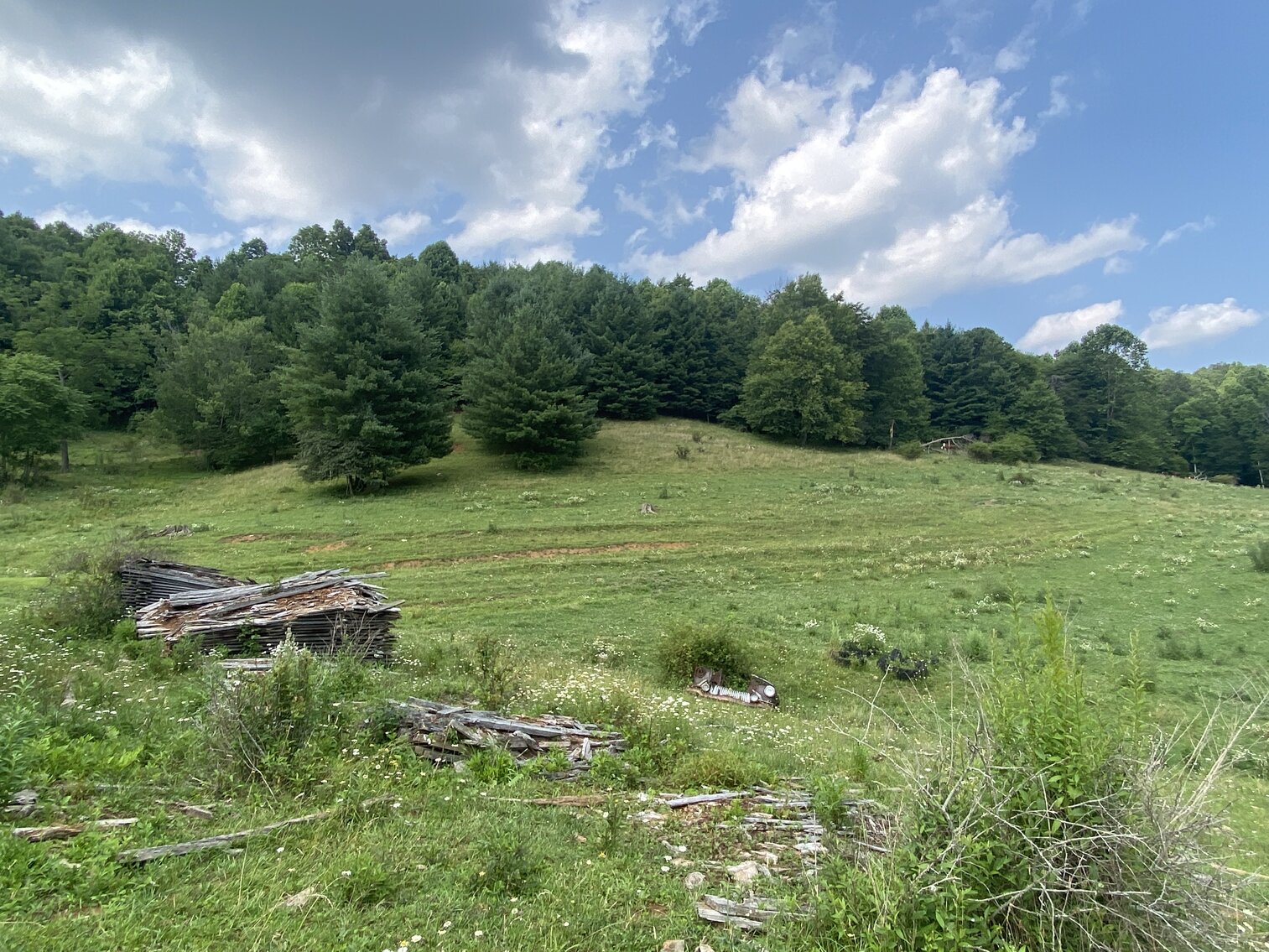Image for Estate of the Late Russell Goad - 188± Acres in Carroll & Floyd County, VA