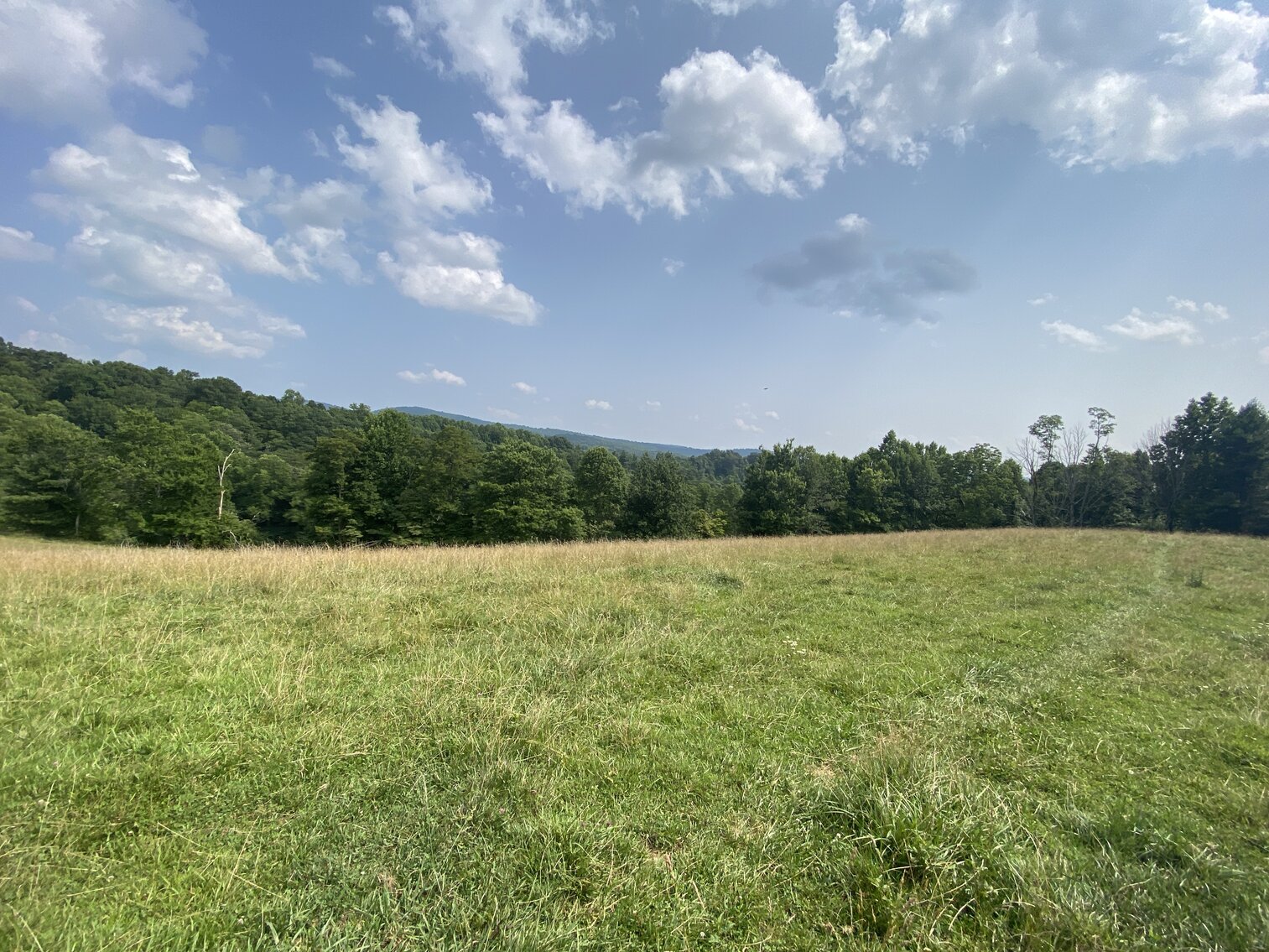 Image for Estate of the Late Russell Goad - 188± Acres in Carroll & Floyd County, VA