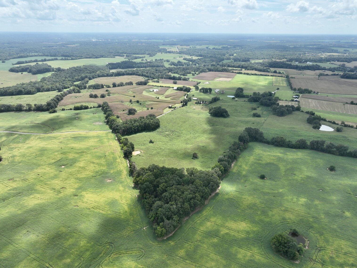 Image for 142.7+/- Acre Farm Auction