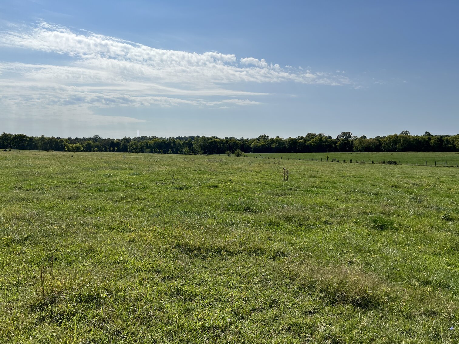 Image for 29 +/- Acres (Parcel #4) with Frontage on Rt. 522 in Orange County, VA