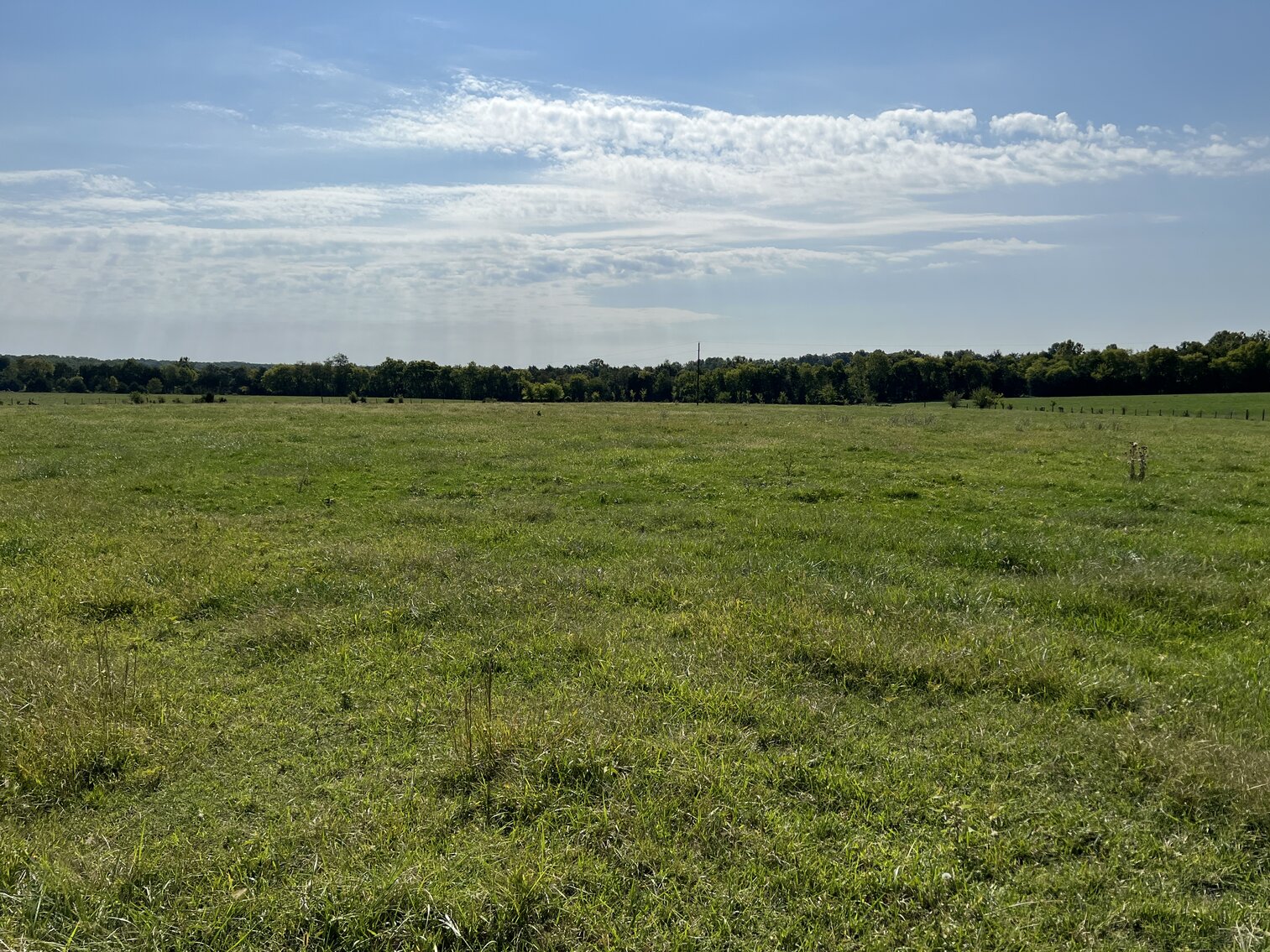 Image for 29 +/- Acres (Parcel #4) with Frontage on Rt. 522 in Orange County, VA