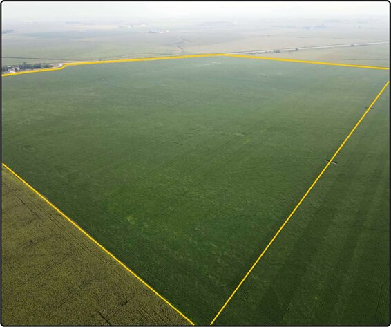 Image for Closed - Mower Co., MN - 984.41 Ac., m/l (020-0467)