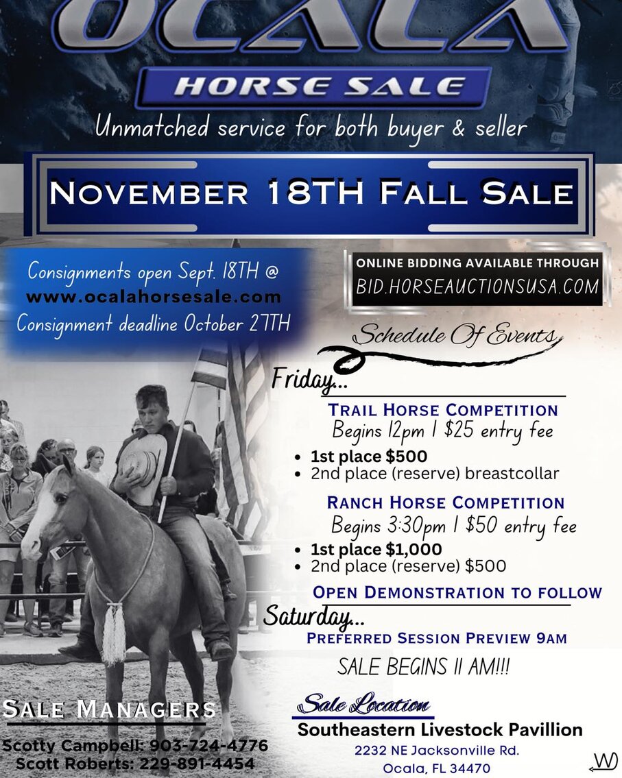Image for Ocala Horse Sale November 18th - Ocala, Florida