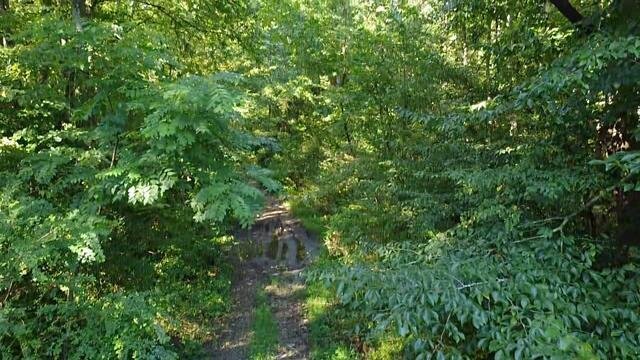 Image for SOLD - Nearly 300 Acres in Fayette County Selling to the Highest Bidder