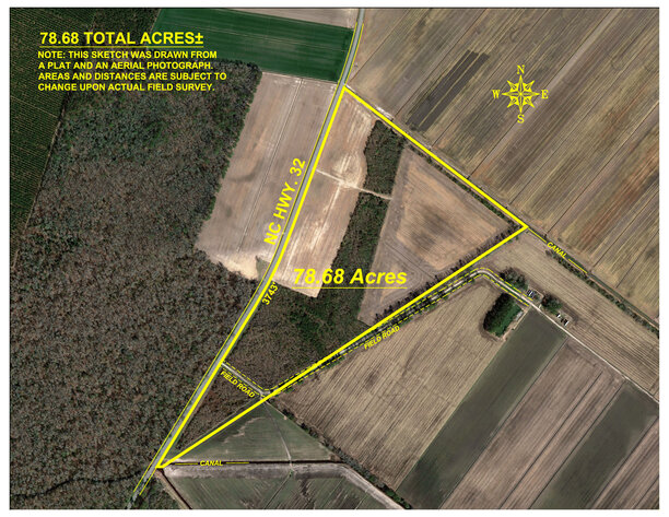 Image for 79+/- Acres in Washington County, North Carolina