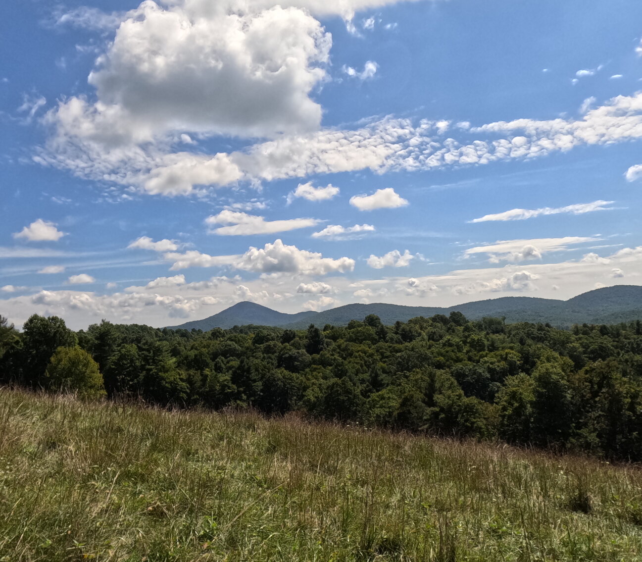 Image for Estate of the Late Russell Goad - 188± Acres in Carroll & Floyd County, VA