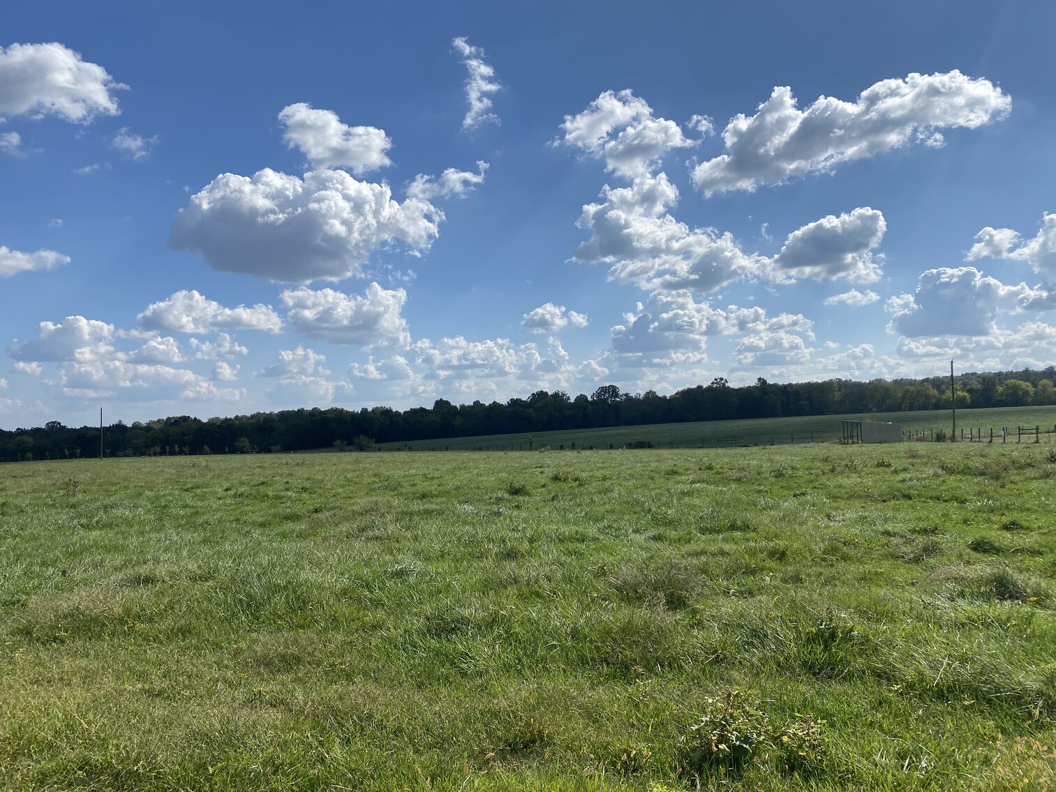 Image for 29 +/- Acres (Parcel #4) with Frontage on Rt. 522 in Orange County, VA