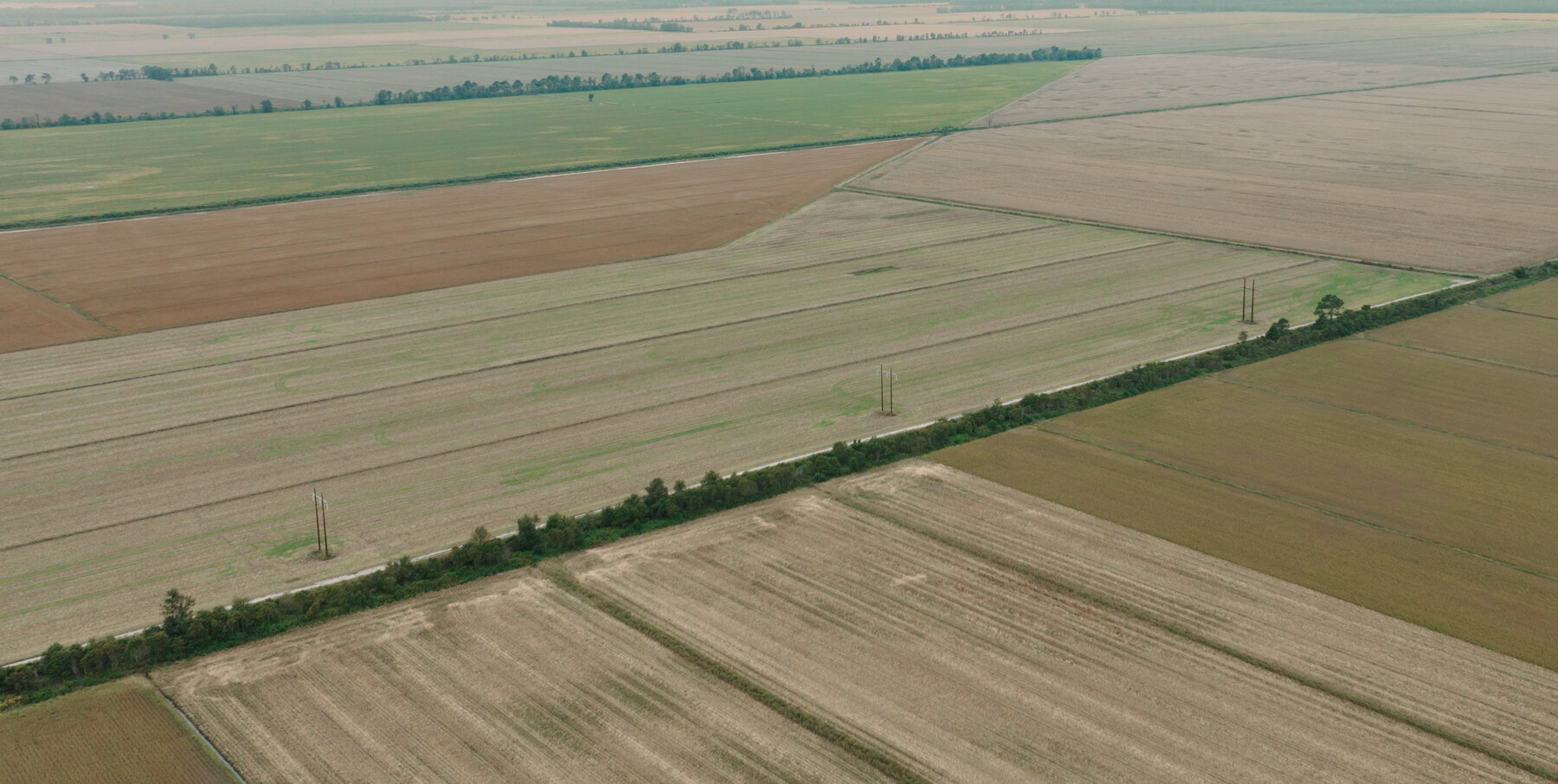 Image for 51 +/- Acre Farm in Washington County, North Carolina