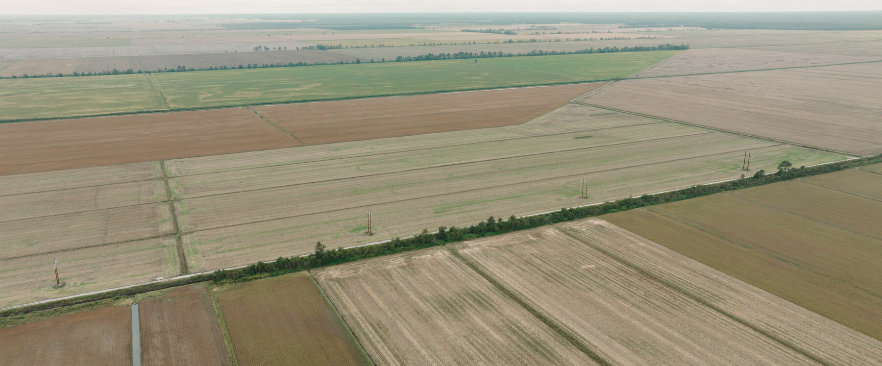 Image for 51 +/- Acre Farm in Washington County, North Carolina