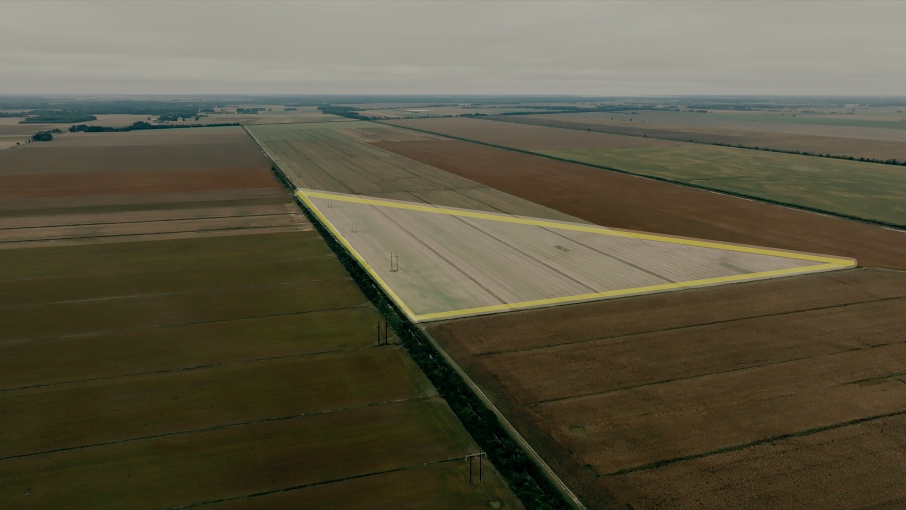 Image for 51 +/- Acre Farm in Washington County, North Carolina