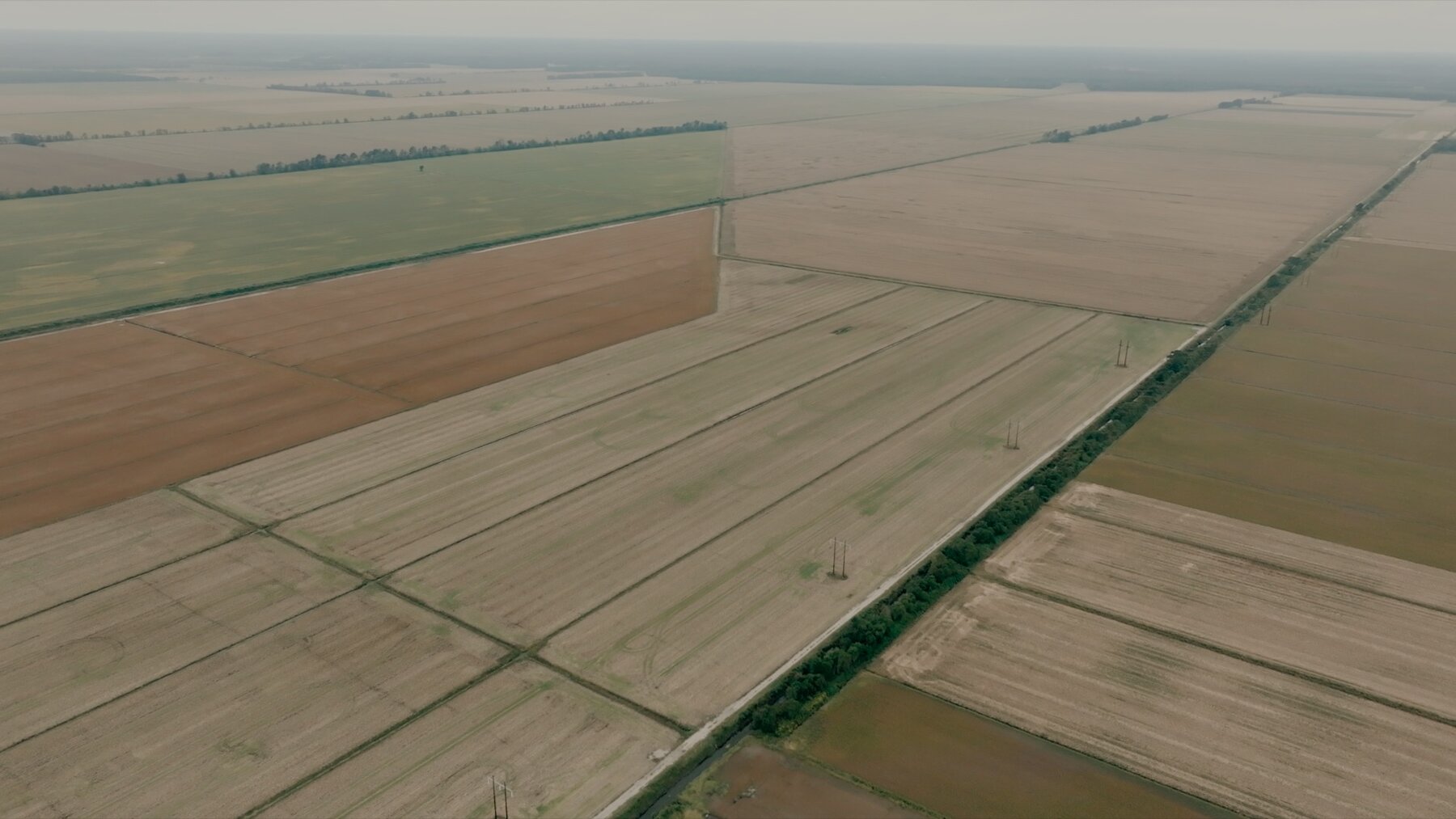 Image for 51 +/- Acre Farm in Washington County, North Carolina