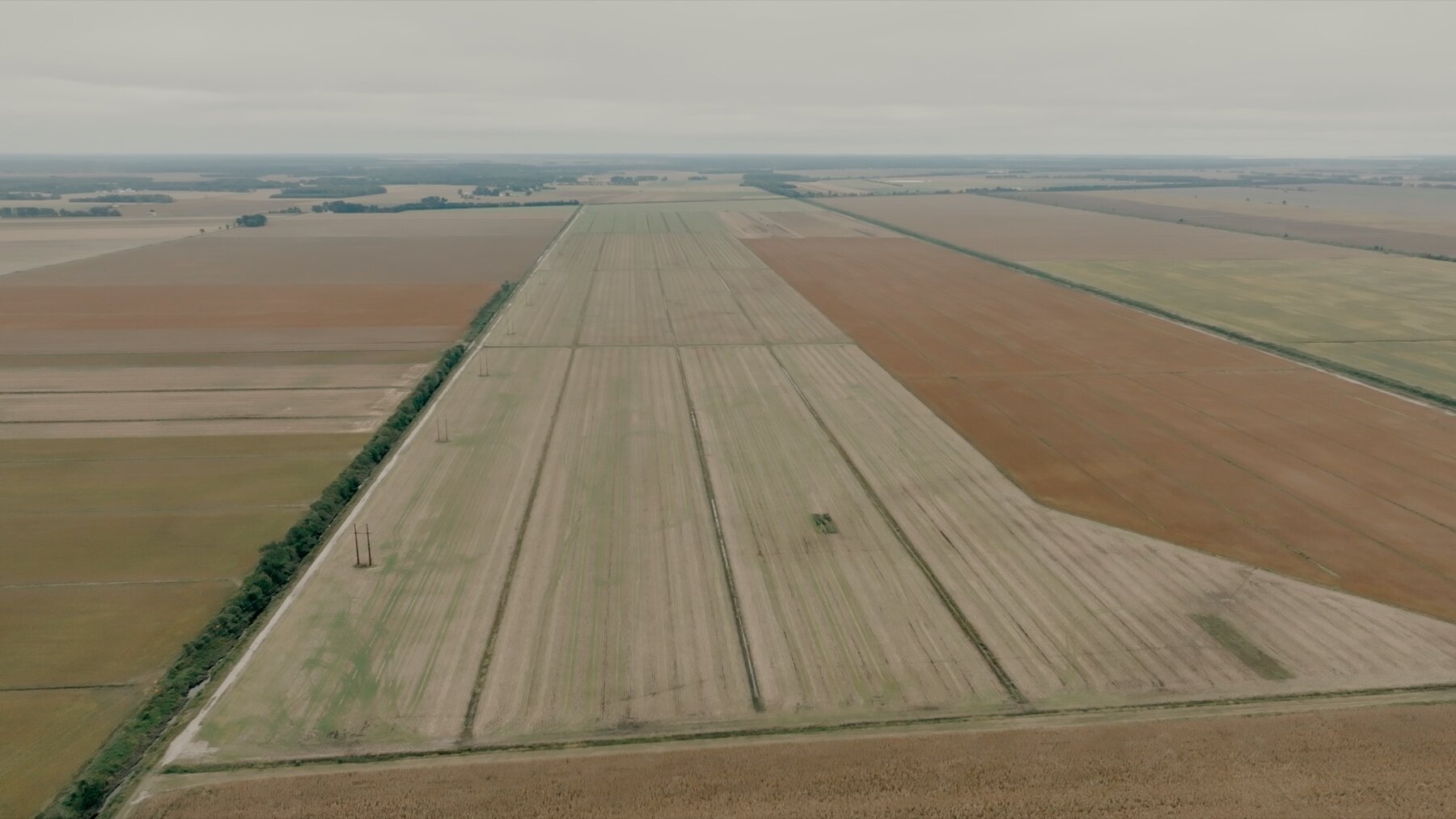 Image for 51 +/- Acre Farm in Washington County, North Carolina