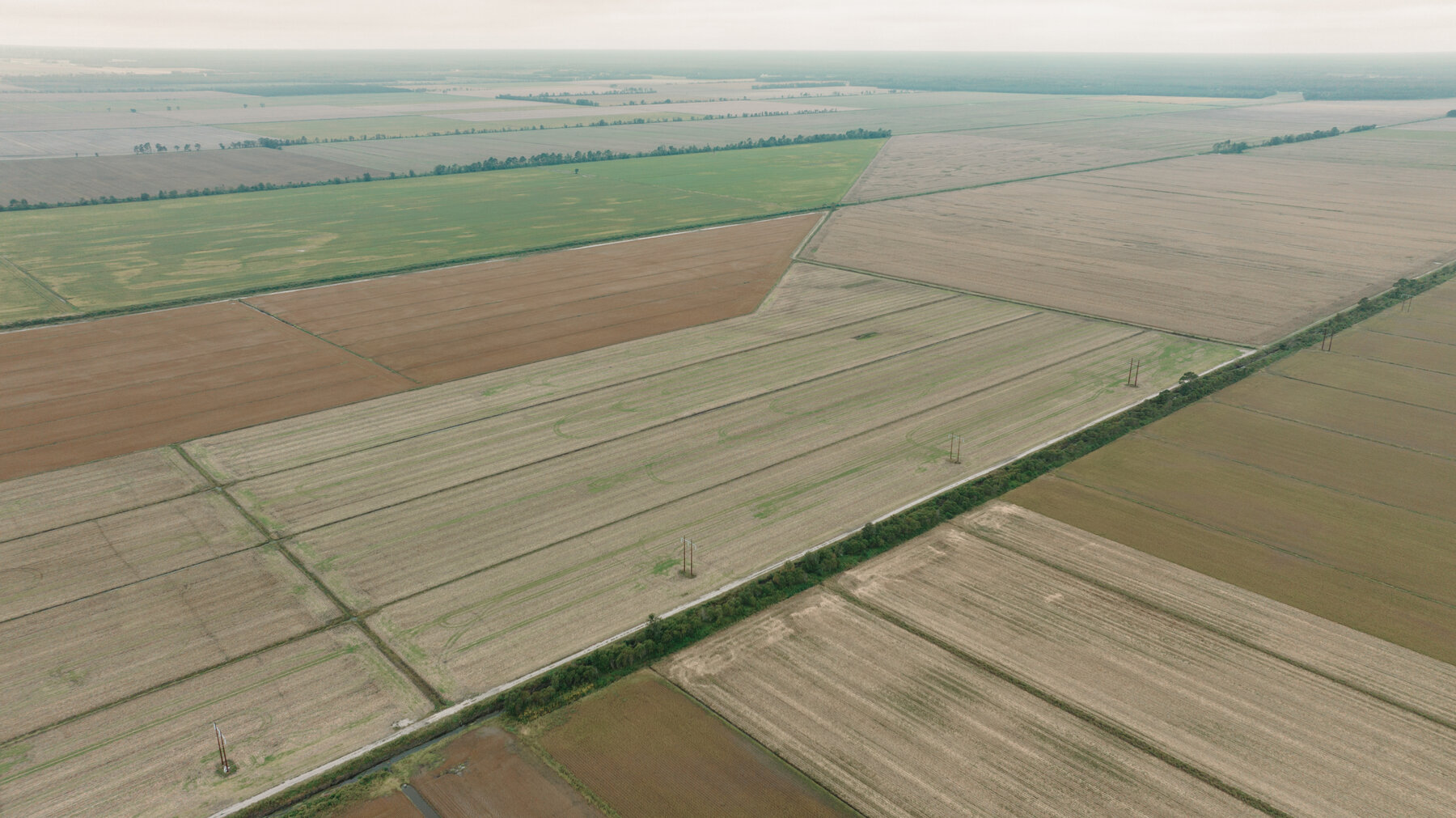 Image for 51 +/- Acre Farm in Washington County, North Carolina