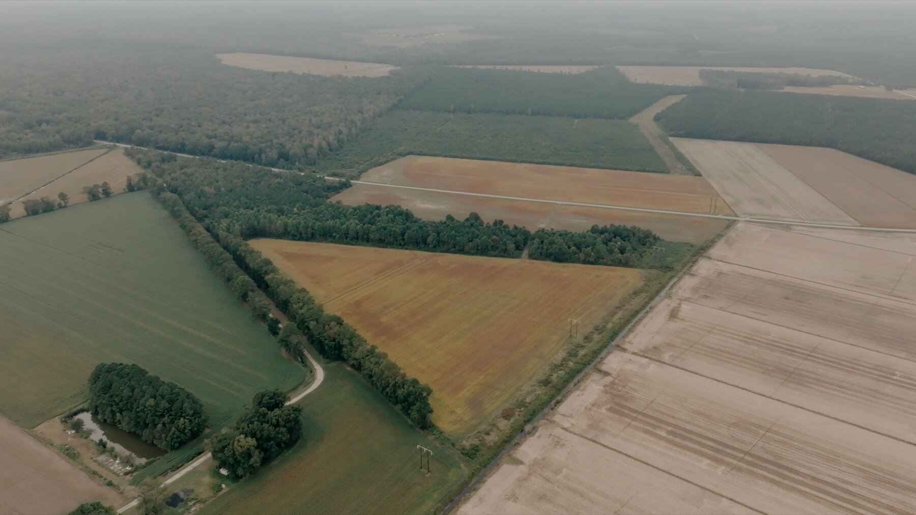 Image for 79+/- Acres in Washington County, North Carolina