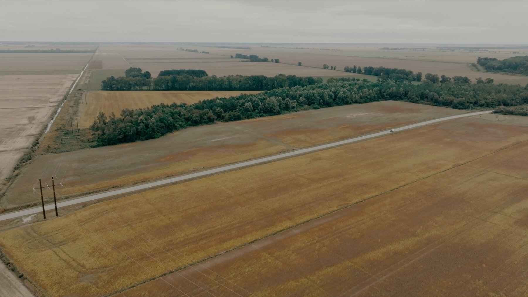 Image for 79+/- Acres in Washington County, North Carolina