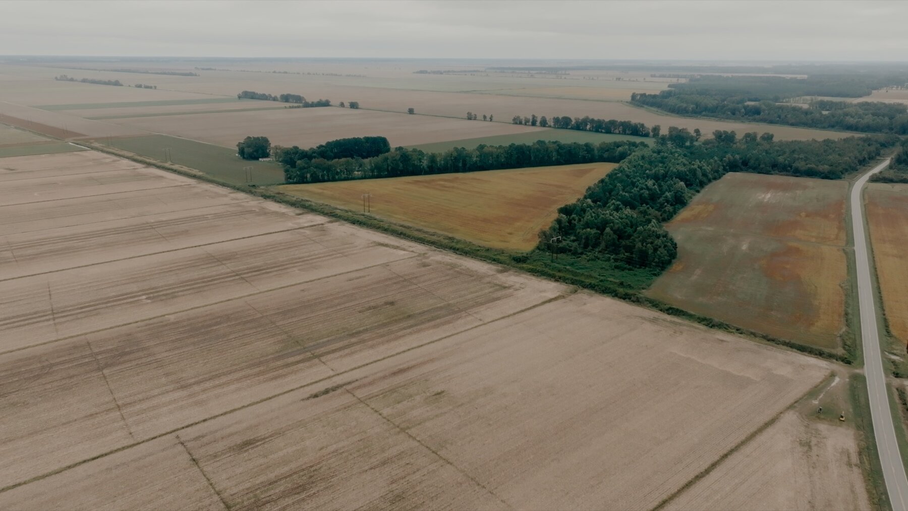 Image for 79+/- Acres in Washington County, North Carolina