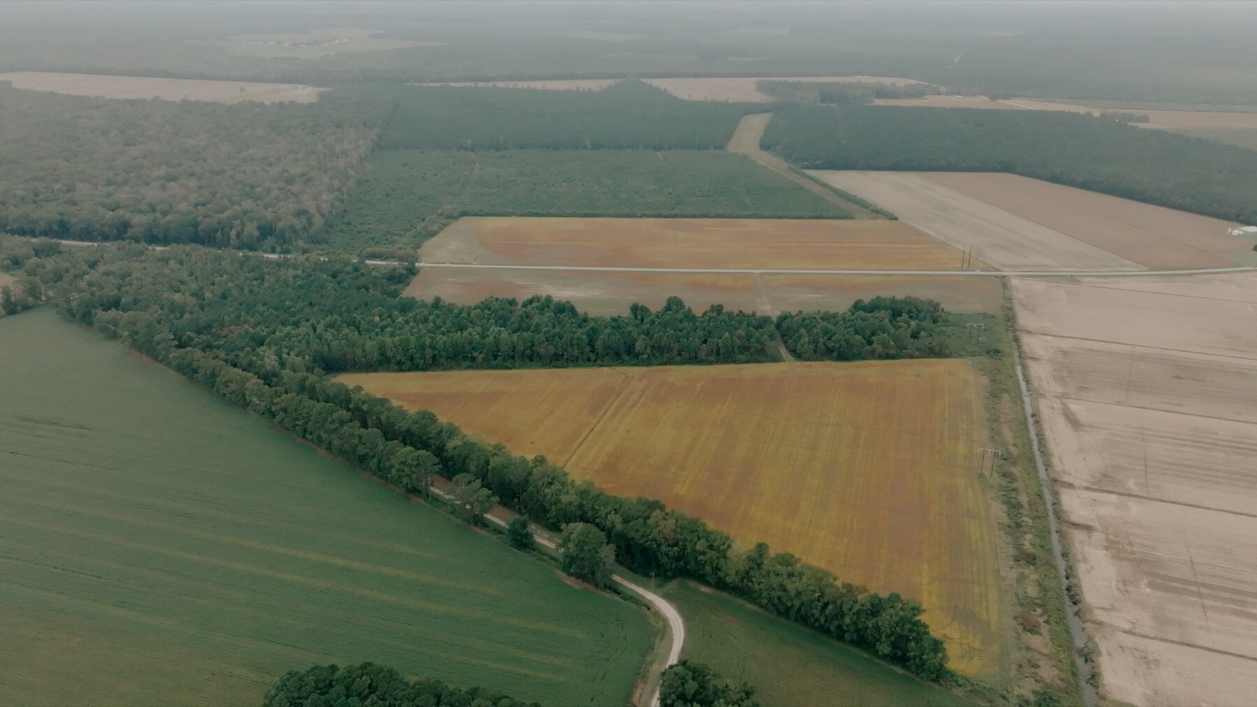 Image for 79+/- Acres in Washington County, North Carolina