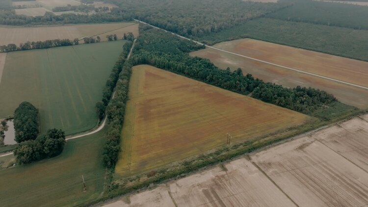 Image for 79+/- Acres in Washington County, North Carolina