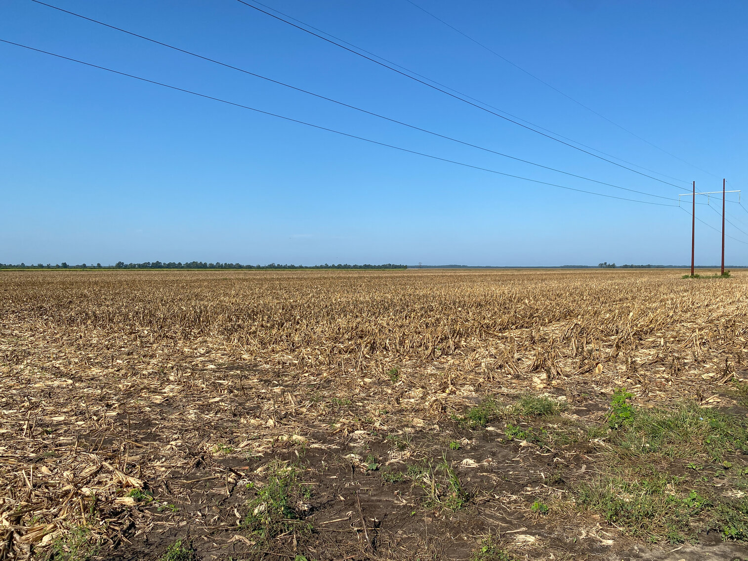 Image for 51 +/- Acre Farm in Washington County, North Carolina