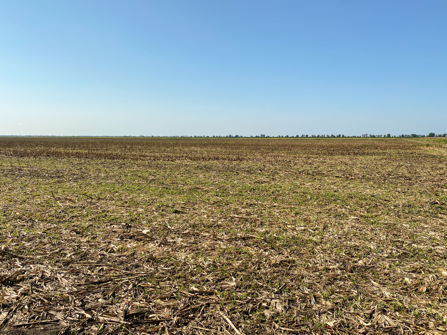 Image for 51 +/- Acre Farm in Washington County, North Carolina