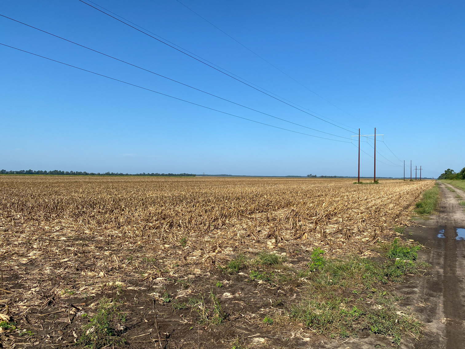 Image for 51 +/- Acre Farm in Washington County, North Carolina