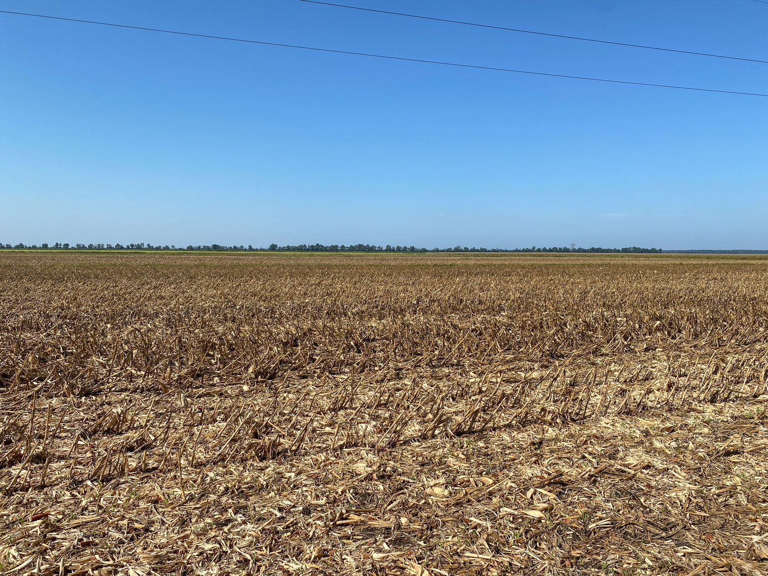 Image for 51 +/- Acre Farm in Washington County, North Carolina