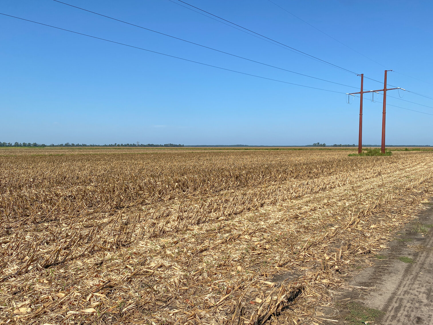 Image for 51 +/- Acre Farm in Washington County, North Carolina