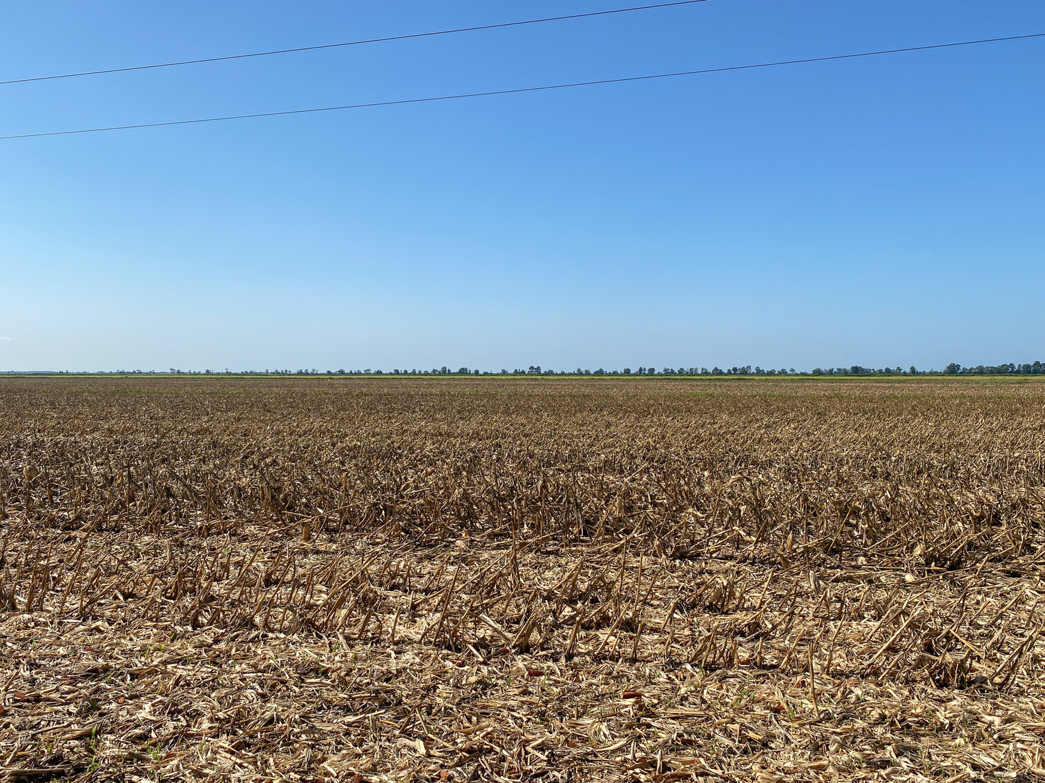 Image for 51 +/- Acre Farm in Washington County, North Carolina