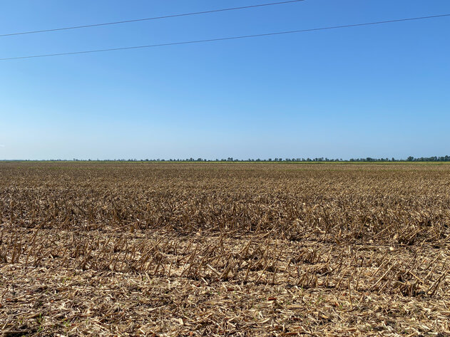 Image for 51 +/- Acre Farm in Washington County, North Carolina