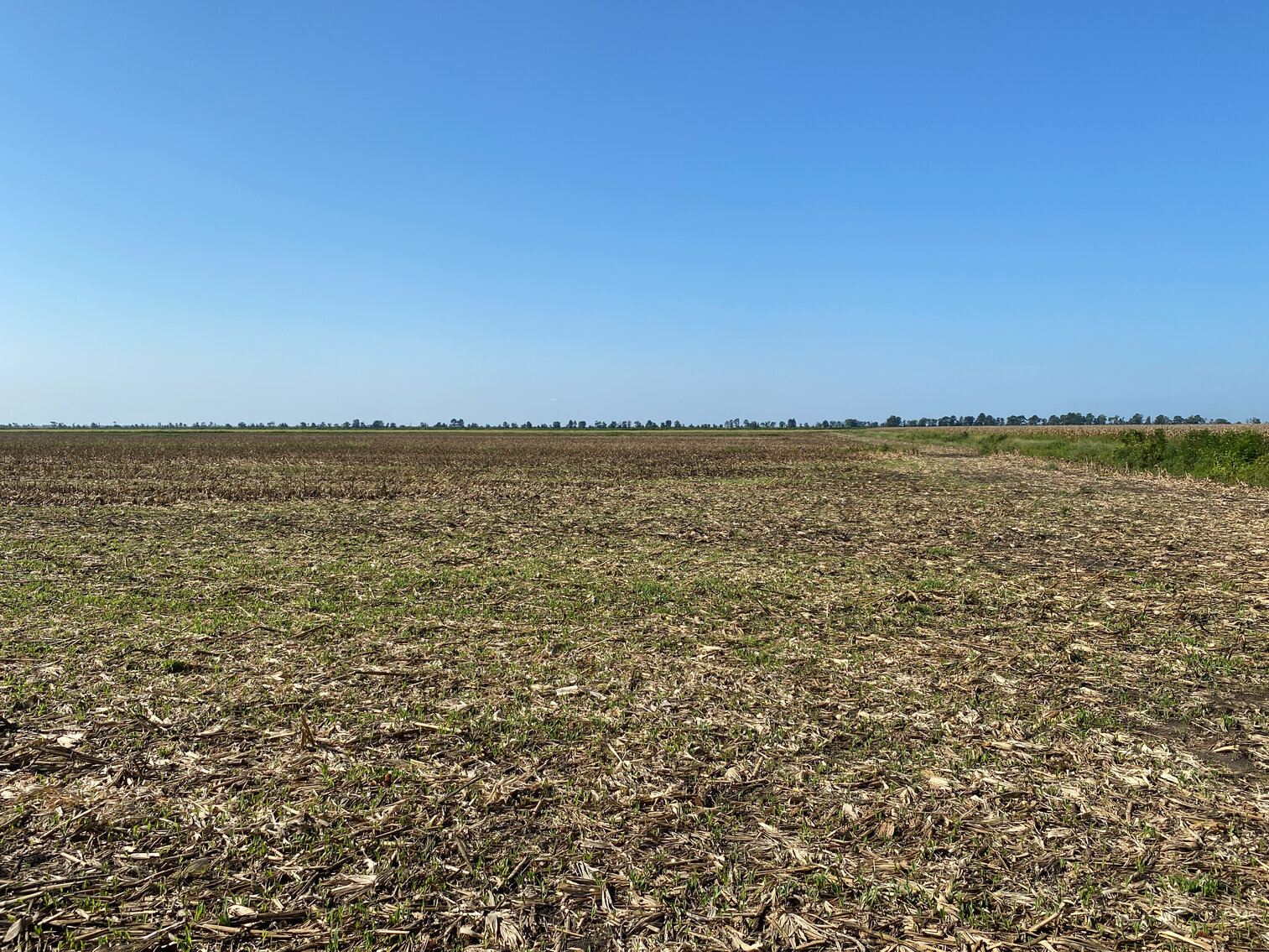 Image for 51 +/- Acre Farm in Washington County, North Carolina