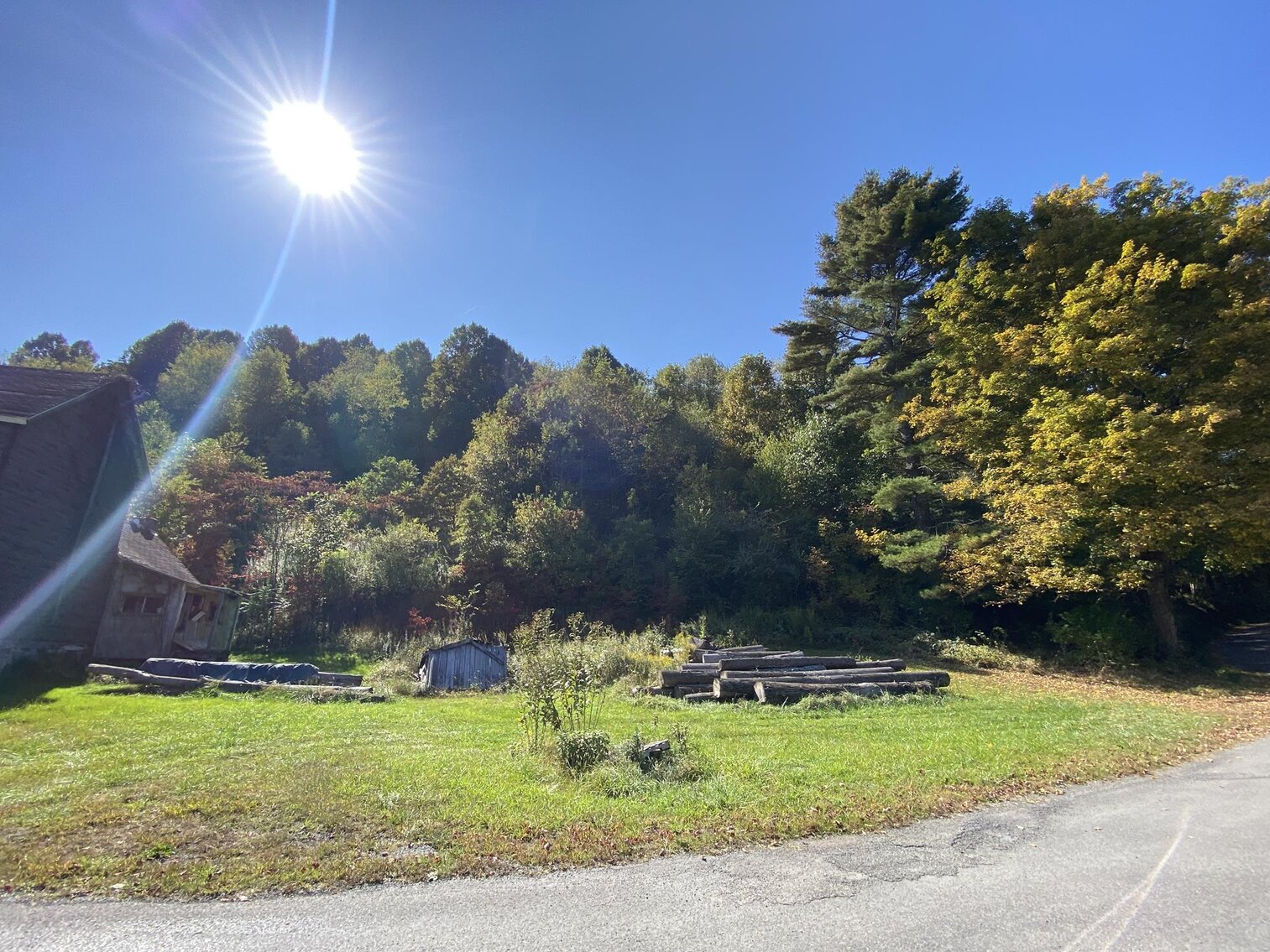 9.3 Wooded Acres with Project Home Selling to the Highest Bidder