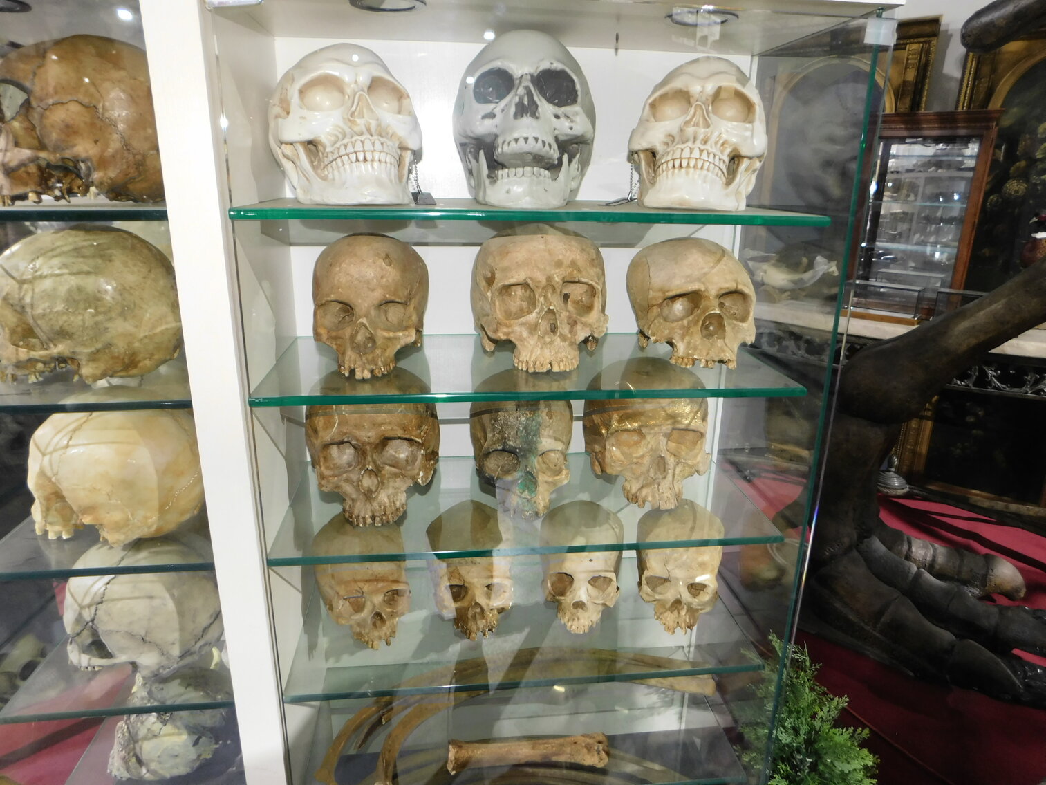 Image for Studio Service Group