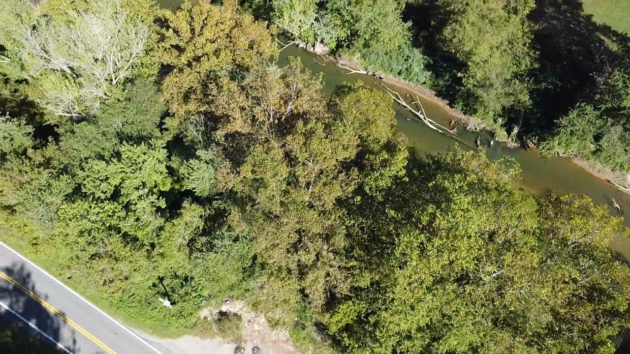 Image for SOLD - 4.4 Acre River Lot in Branchland Selling to the Highest Bidder