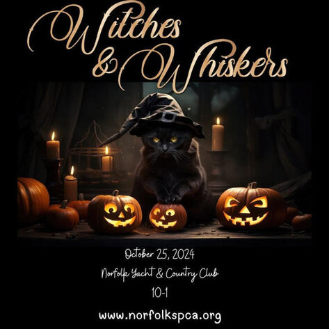 Image for Witches & Whiskers