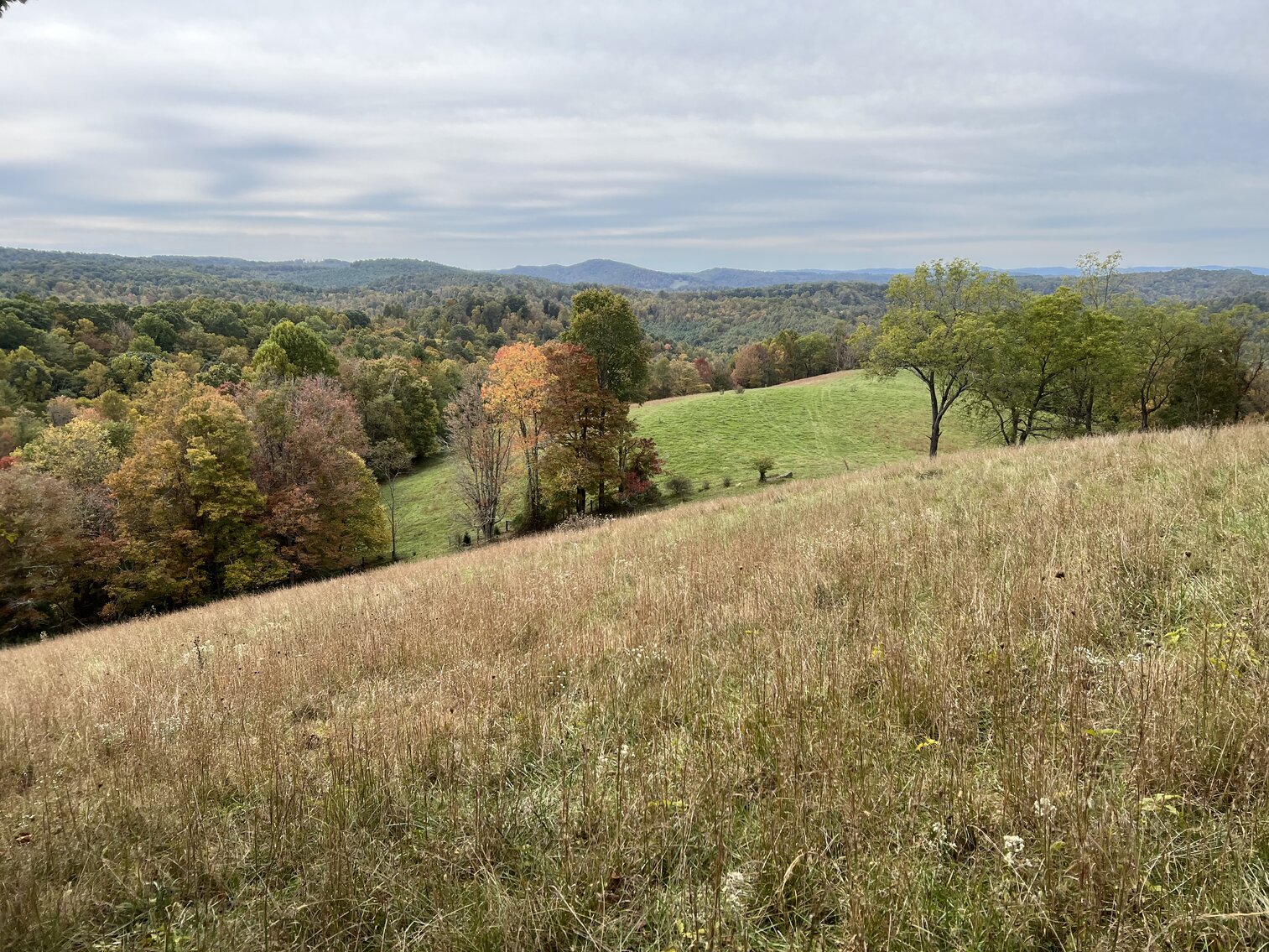 Image for Estate of the Late Russell Goad - 188± Acres in Carroll & Floyd County, VA