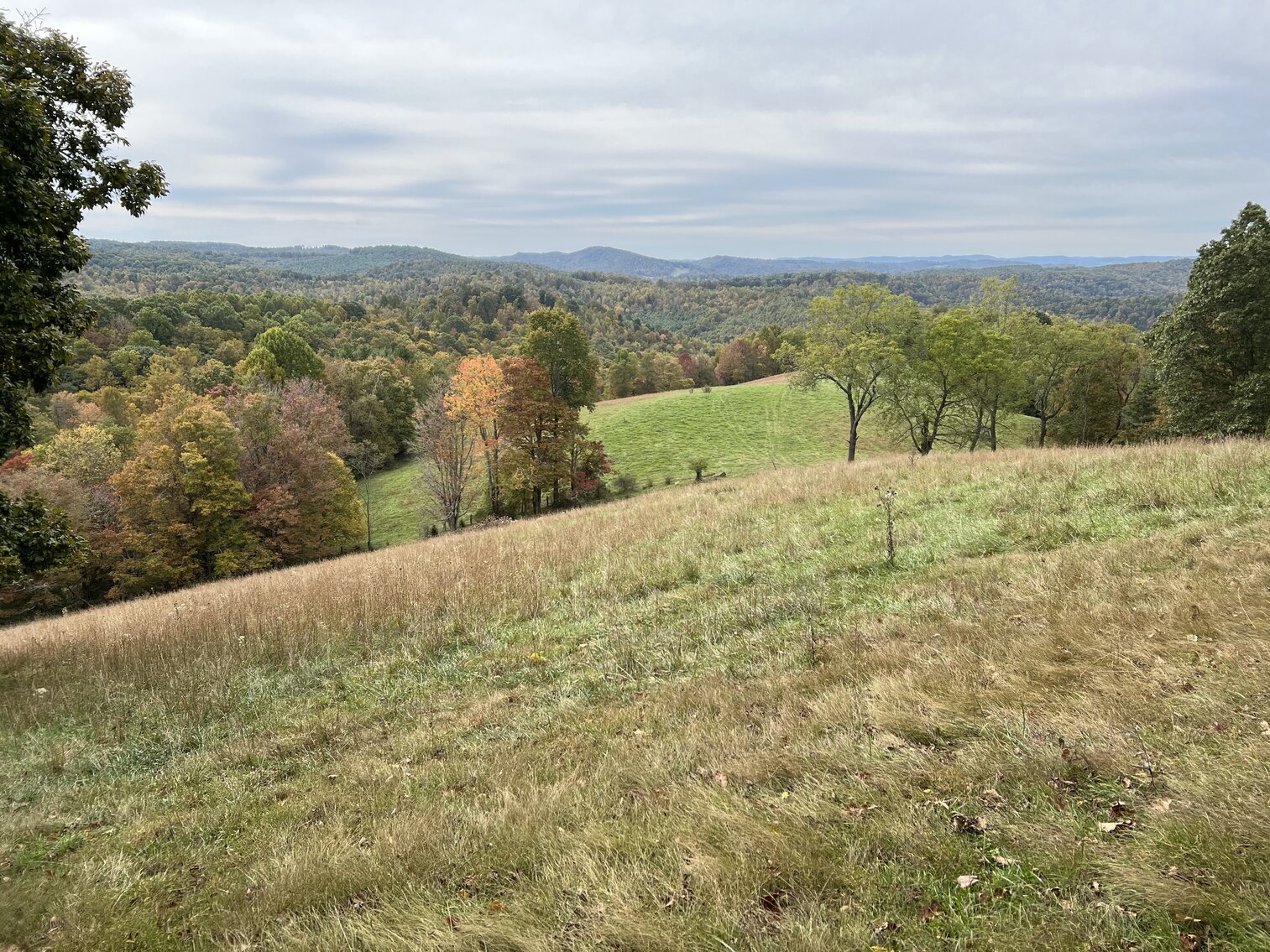 Image for Estate of the Late Russell Goad - 188± Acres in Carroll & Floyd County, VA