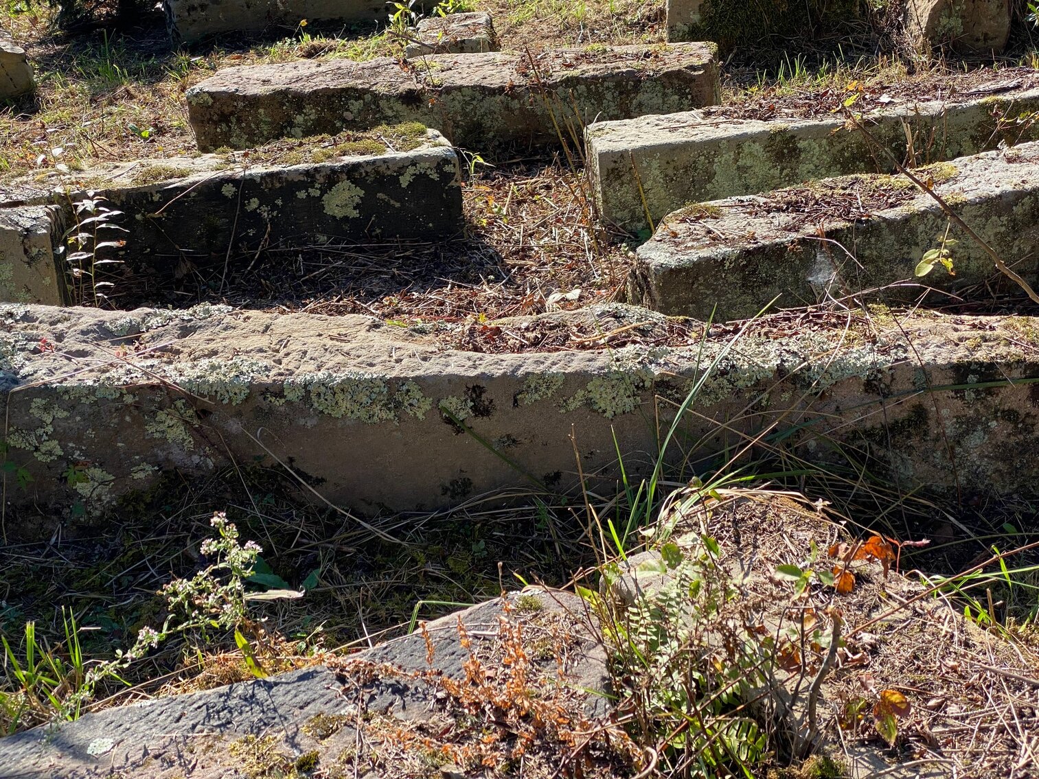 Mannington, WV Cargo Van, Trailer, Antique Cars & Parts, Tons of